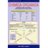 Chimica organica - Preparazione, reazioni e nomenclatura delle principali classi dei composti organici - Scheda