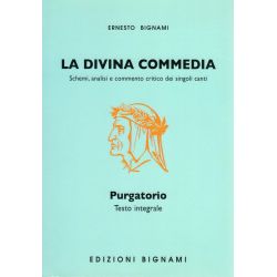La Divina Commedia - Purgatorio - testo integrale, schemi, analisi e commento critico dei singoli Canti